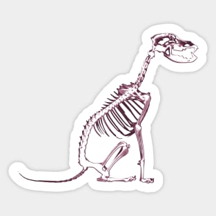 Black Dog X-Ray Skeleton Sticker